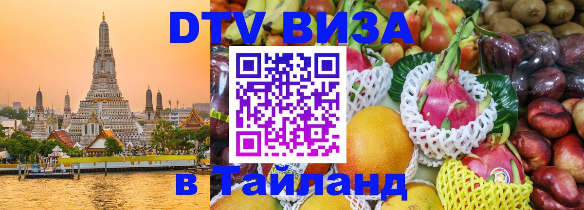 Оформление DTV визы под ключ: стоимость и тарифы, только загранпаспорт - 